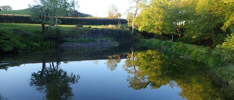 A calm river reflecting trees and a grassy landscape.