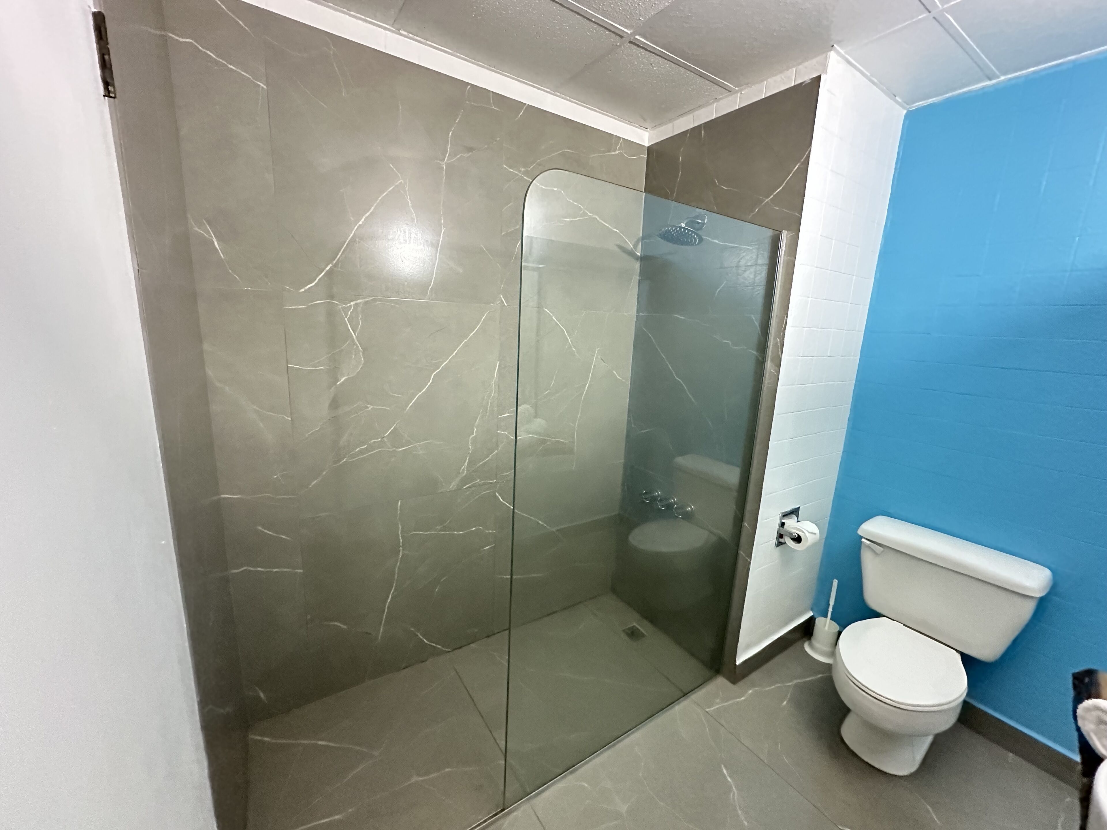 A bathroom with a glass-enclosed shower, a toilet, and a blue wall.