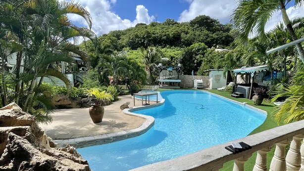 Piscina com borda curva, rodeada por vegetação tropical e um parapeito de pedra.