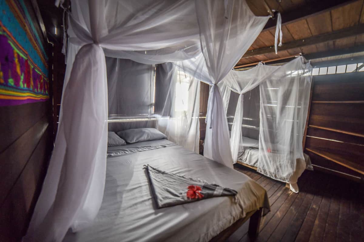 A room with a bed covered by a canopy, a bedside table, and a window with curtains.