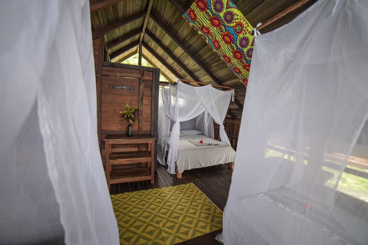 A room with a bed under a canopy, a wooden nightstand with a plant, and a yellow patterned rug.