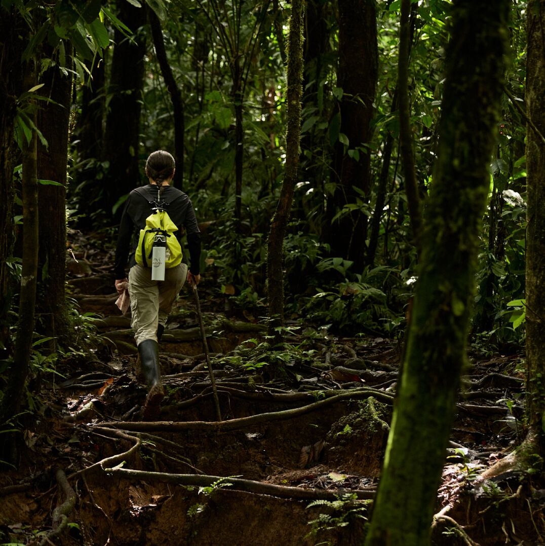 Una persona caminando por un área boscosa con vegetación densa y un sendero.