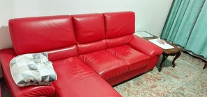Télévision, cheminée, livres