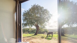 A window with a view of a tree, a donkey, and a dog in an outdoor area.