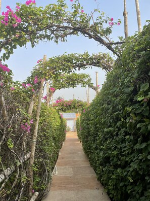 Property grounds - THE BLUE HOUSE LOMÉ (Lomé)