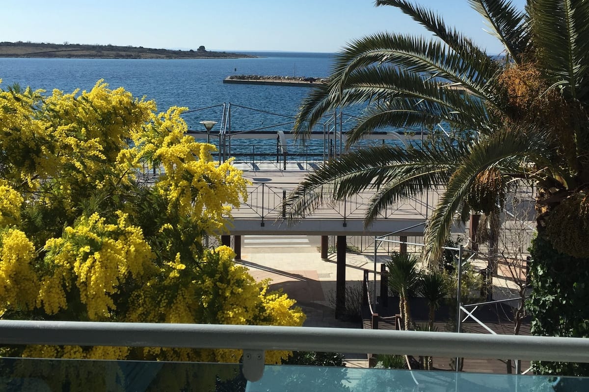 A balcony with a view of the sea, a palm tree, and yellow flowering bushes.