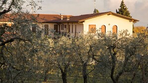 A house with a tiled roof, surrounded by olive trees. - House in the Olive Trees-For a relaxing vacation at the lake. (Lombardia)