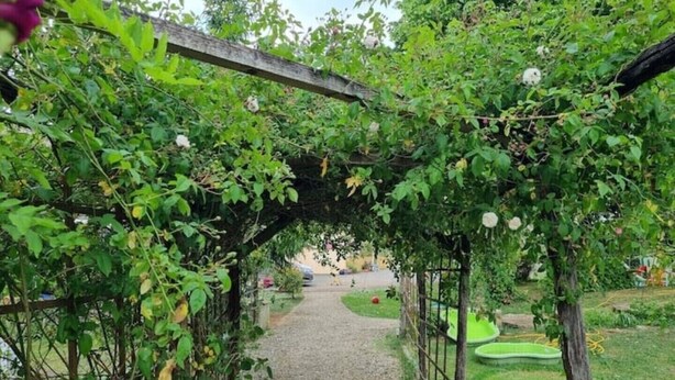 A pathway under a wooden pergola with climbing plants and flowers. - 3 Peaceful Country Gites - Sleeps 16 with 2 Wood-Fired Hot Tubs & Swimming Pool (Melle)