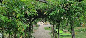 3 Peaceful Country Gites - Sleeps 16 with 2 Wood-Fired Hot Tubs & Swimming Pool