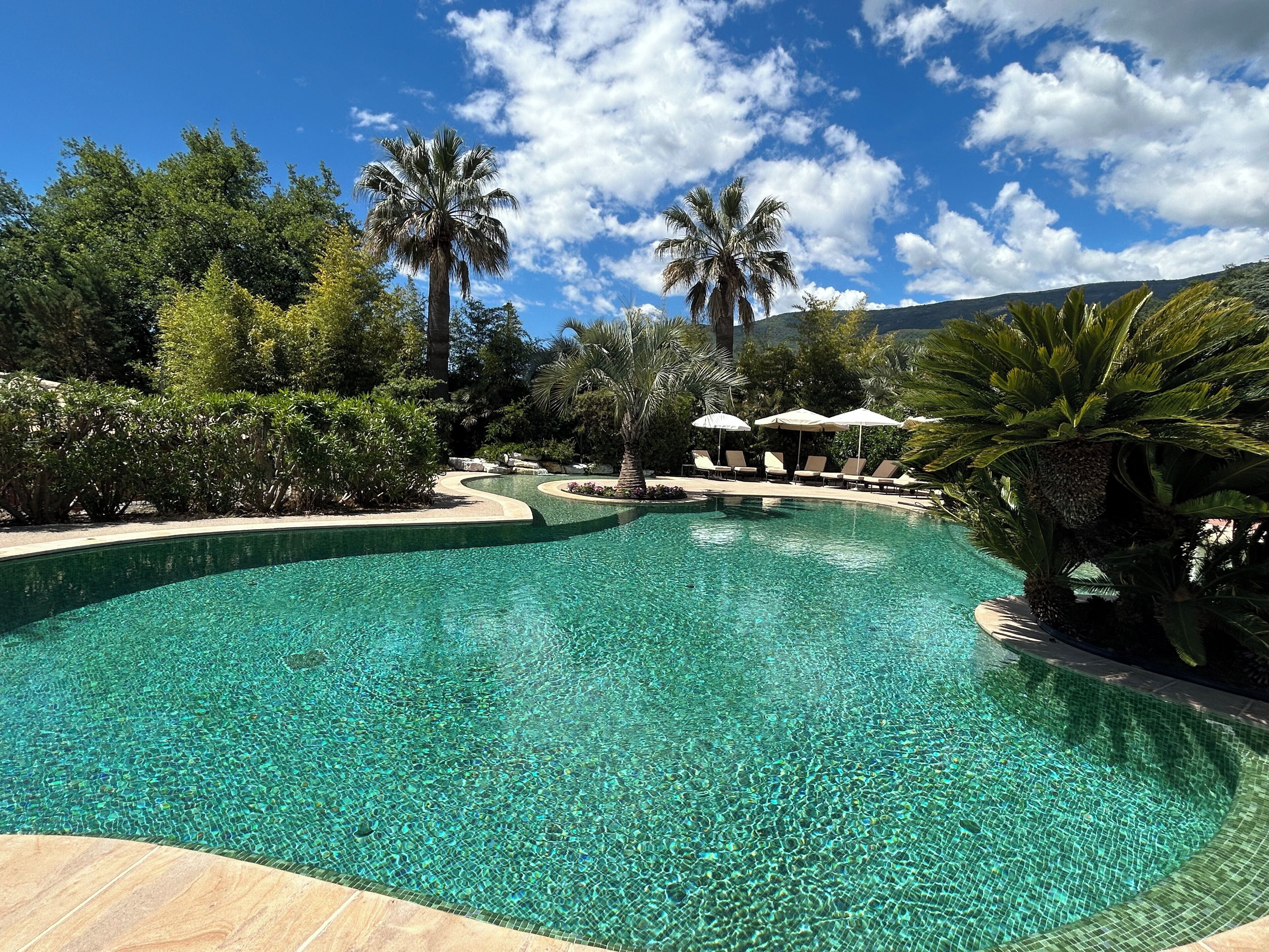 A clear swimming pool with lounge chairs and umbrellas, surrounded by lush greenery and palm trees.