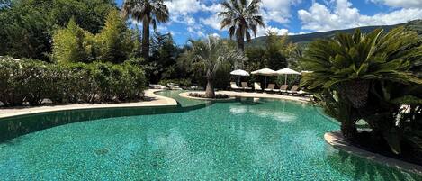 A clear swimming pool with lounge chairs and umbrellas, surrounded by lush greenery and palm trees.