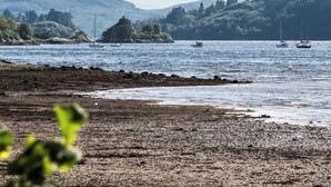 Un paysage côtier caractérisé par des rivages rocheux, une eau calme et la présence de voiliers.