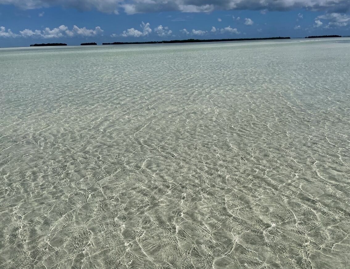 Rannalla, aurinkotuoleja, rantapyyhkeitä