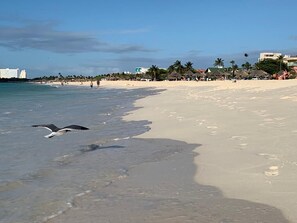 Sun loungers, beach towels