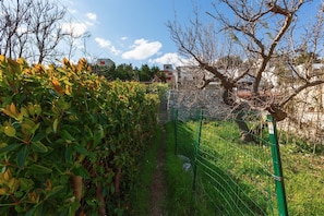 Stroll through lush gardens to a residential area with simple, flat-roofed buildings.