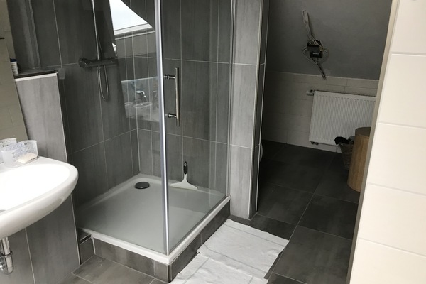 Combined shower/bathtub, towels