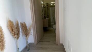 Ducha, secador de pelo, bidet, toallas