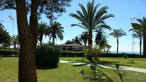 A well-maintained garden with palm trees, a pathway, and a building with a flat roof in the background.