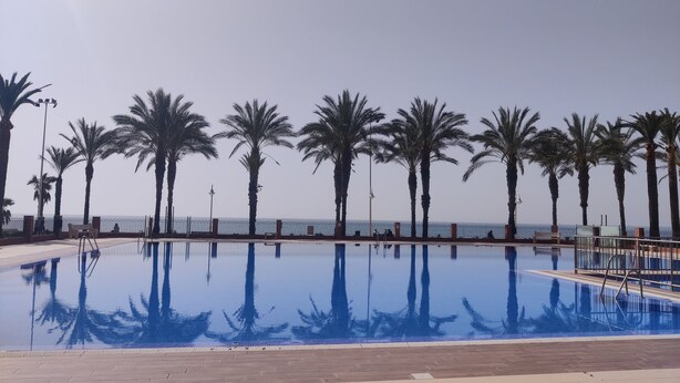 A swimming pool with palm trees and a view of the sea.