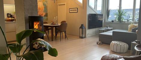 Smart TV, fireplace, books