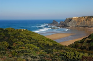 A coastal landscape with a beach, cliffs, and dense greenery.