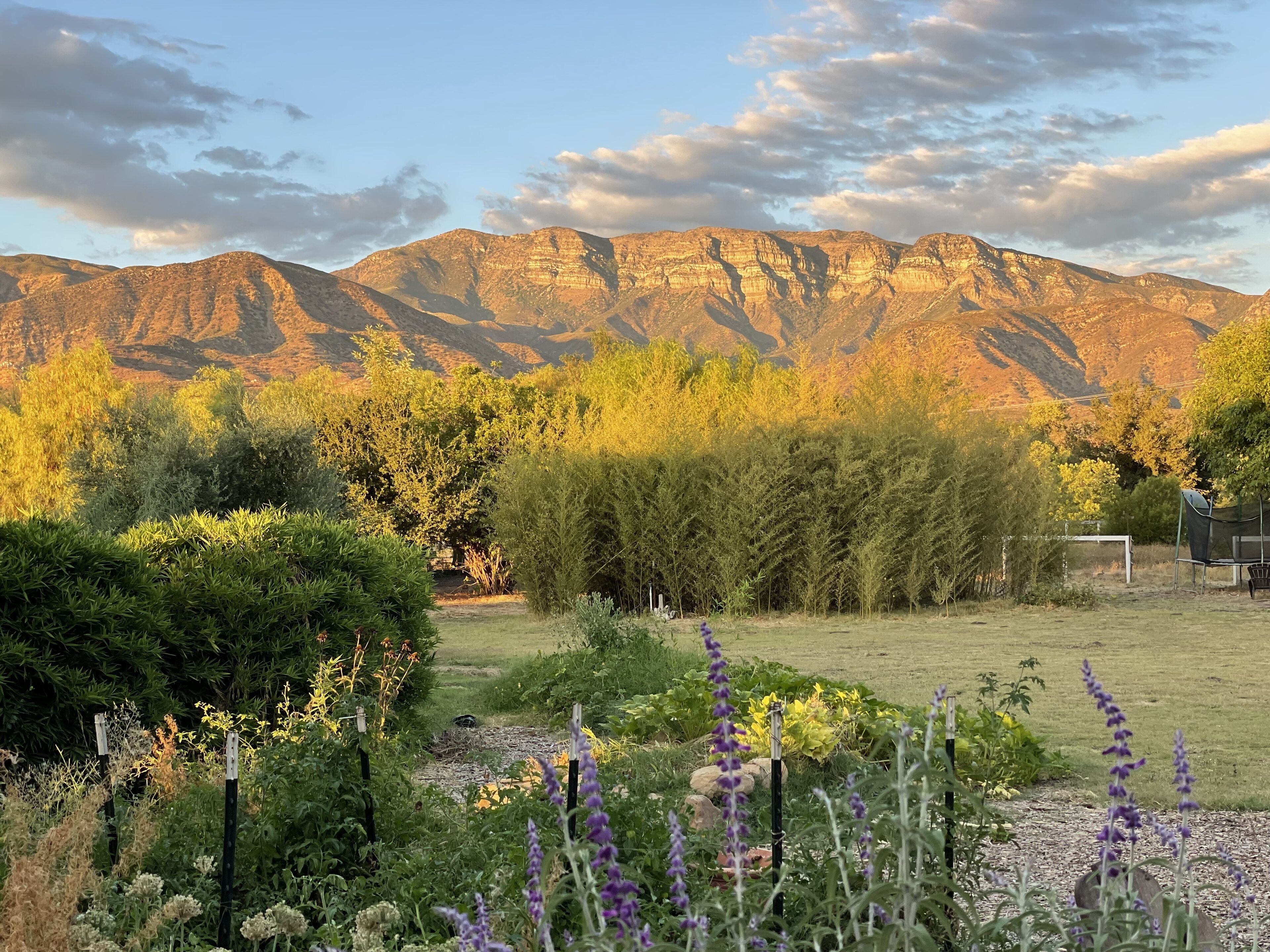 Serene Ojai Ranch House