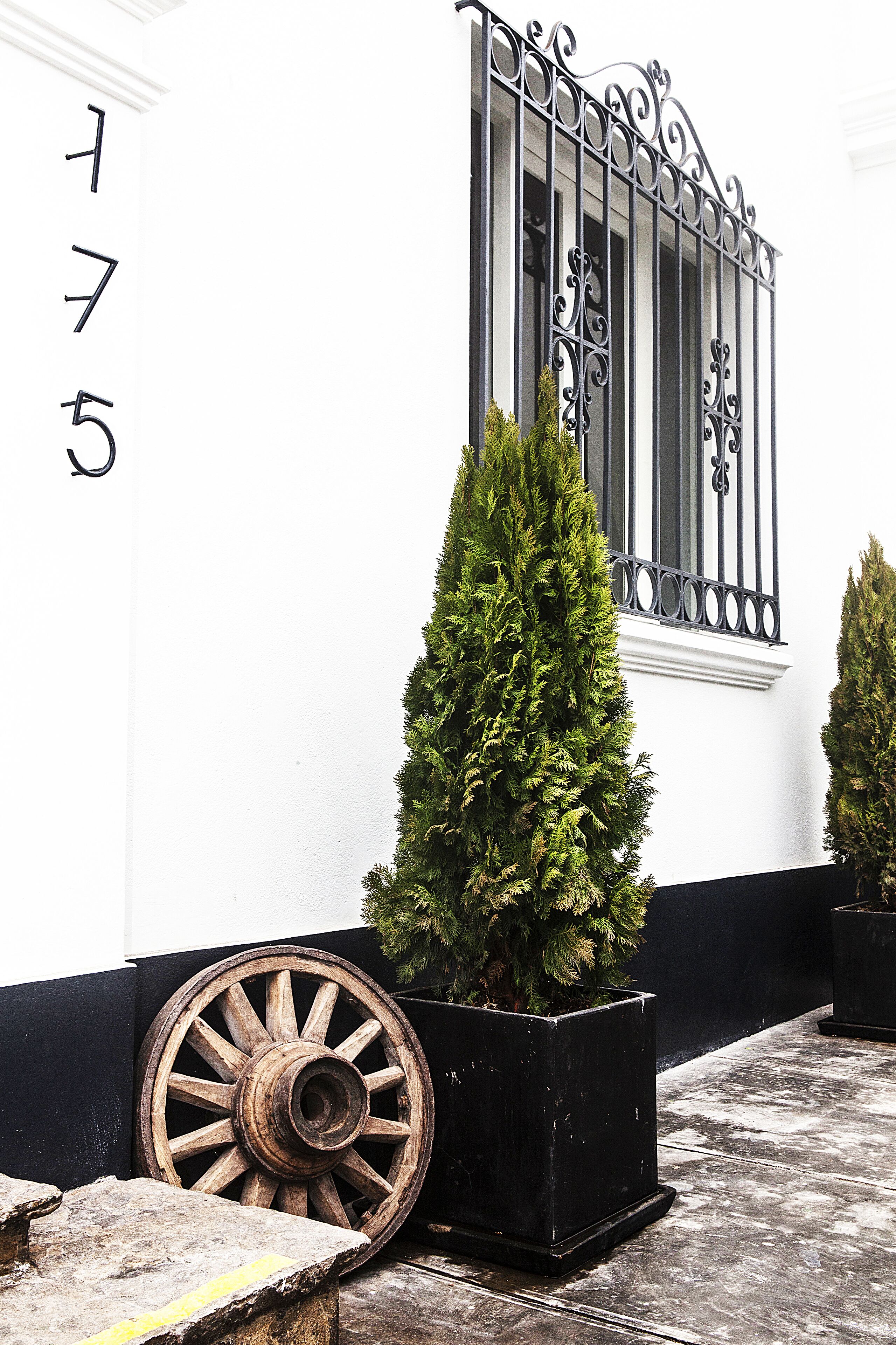 Foto - WasiPai Boutique Hotel