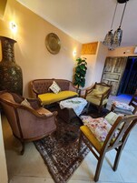 35-英寸液晶电视 （配备数码频道）、电视