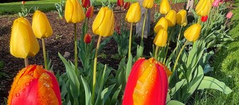 Getaway Near Mass MoCA, Great Hiking, Scenic Views