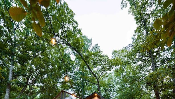 A two-story wooden house elevated on stilts surrounded by trees, with a wooden deck leading to the entrance. - Skywalk Treehouse: 4 Treehouses Linked by Bridges (Sevierville)