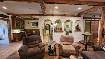 TV connectée, cheminée, lecteur de DVD, livres