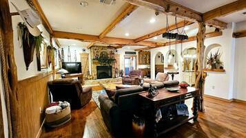 智能电视、壁炉、DVD 播放器、书