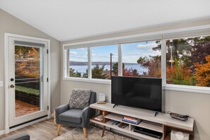 Smart TV, DVD player