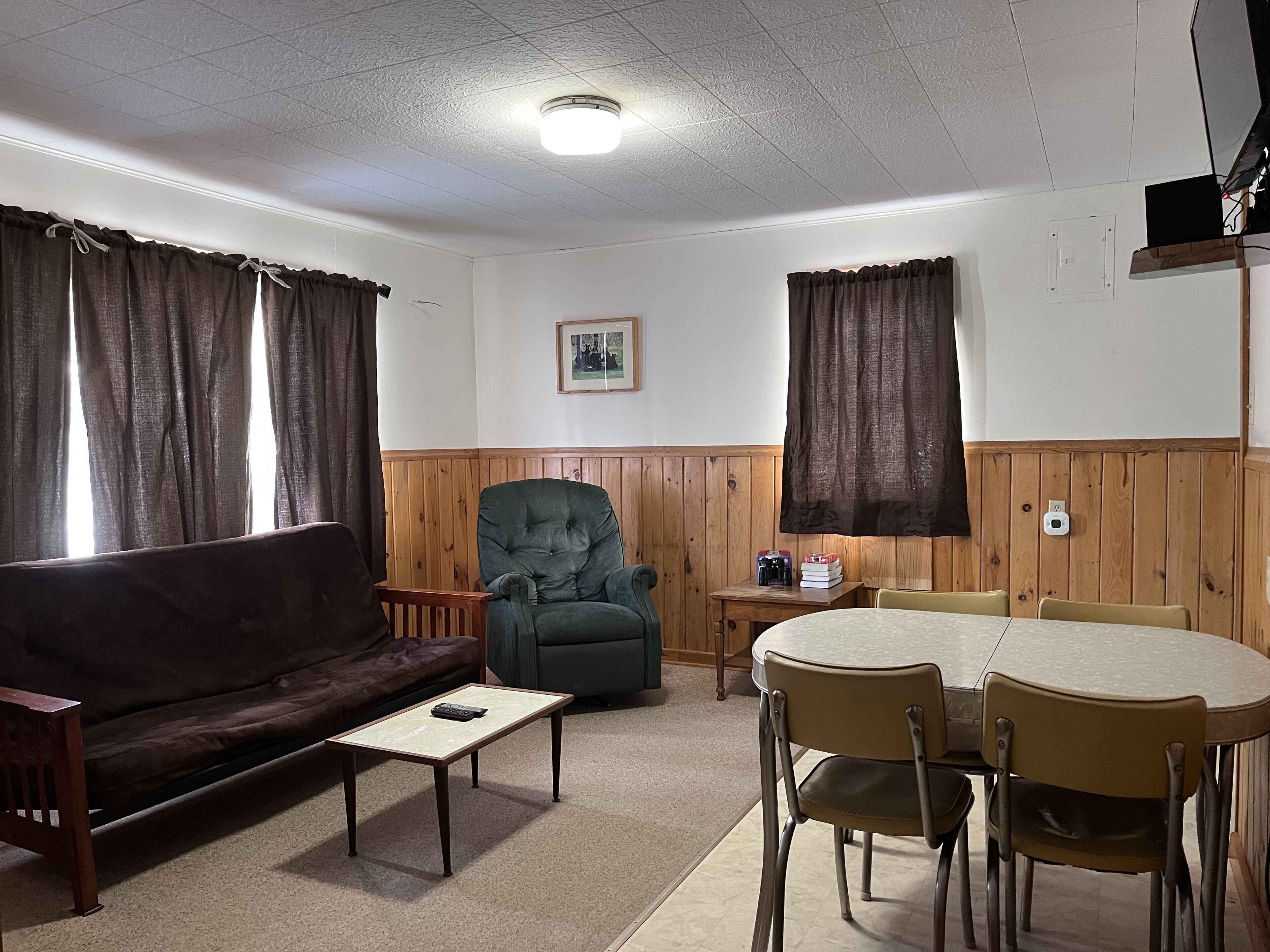 En stue med en brun sofa, en grøn lænestol, et lille bord og et spiseområde med bord og stole.