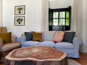 TV connectée, cheminée, livres