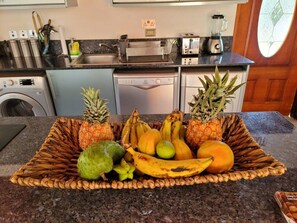 Fridge, microwave, oven, stovetop - Hidden Treasure, Ocean View Villa w/ private pool. (Treasure Beach)