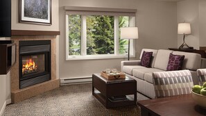 Flat-screen TV, fireplace, video-game console, DVD player