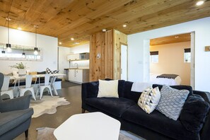 TV, fireplace, video games, DVD player
