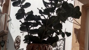 Unclassified image, 5 of 30, button - La Aurora Hotelboutique (Lagos de Moreno)