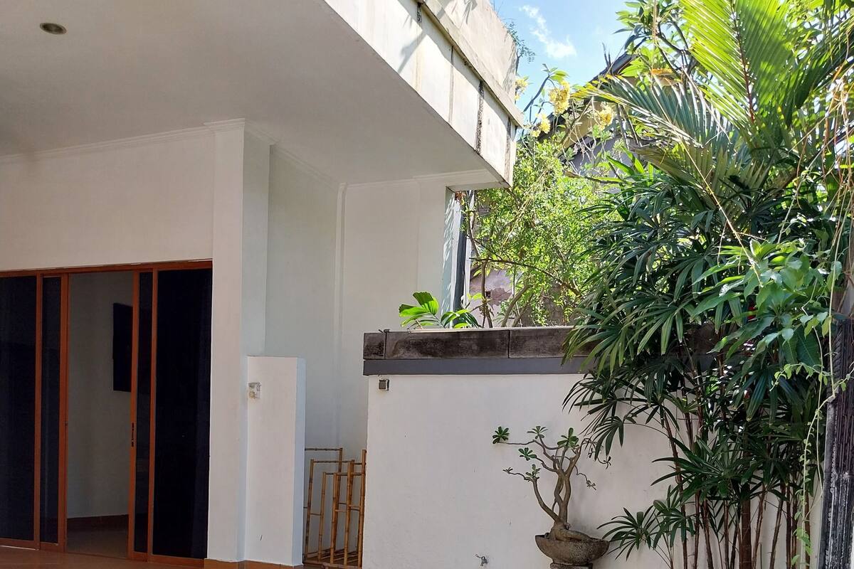 A swimming pool with a tiled deck, surrounded by a white wall and lush greenery.