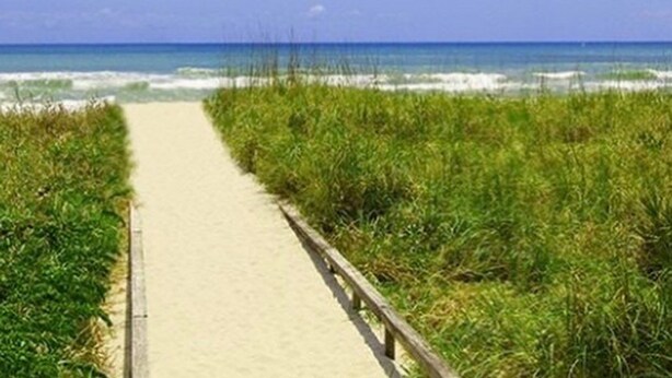 A beach path leading to the ocean with a clear sky.