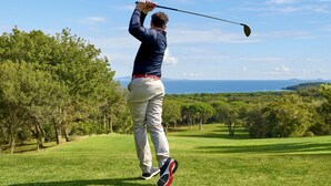 A person playing golf on a well-maintained course with a clear view of the ocean and distant hills. - Vacation apartment small quiet oasis - forest edge location, central in Scharbeutz - House (Scharbeutz)
