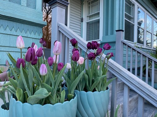 FIRST FLOOR FLAT FOR BUSINESS OR PLEASURE