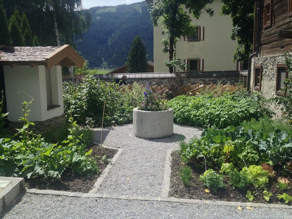 Àrea exterior de l'allotjament