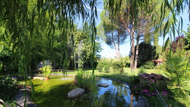 A serene garden with a pond, lush greenery, and a rustic wooden structure. - Nice cottage ideal for couples, large enclosed garden with private pool. Pets are welcome. Bucine is (Bucine)