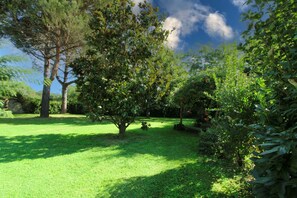 A lush garden with a variety of trees and shrubs, a well-maintained lawn, and a clear sky.