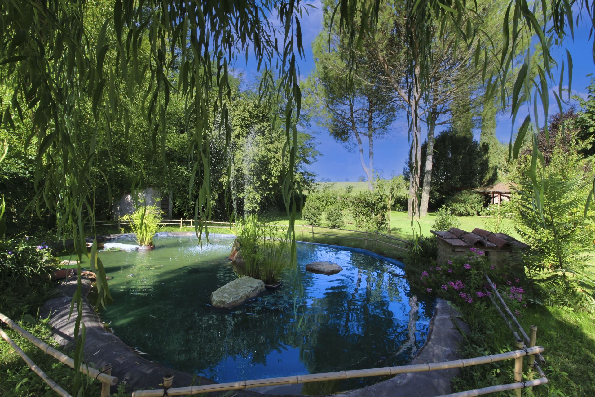 A tranquil garden with a pond, surrounded by lush greenery and a small wooden structure.