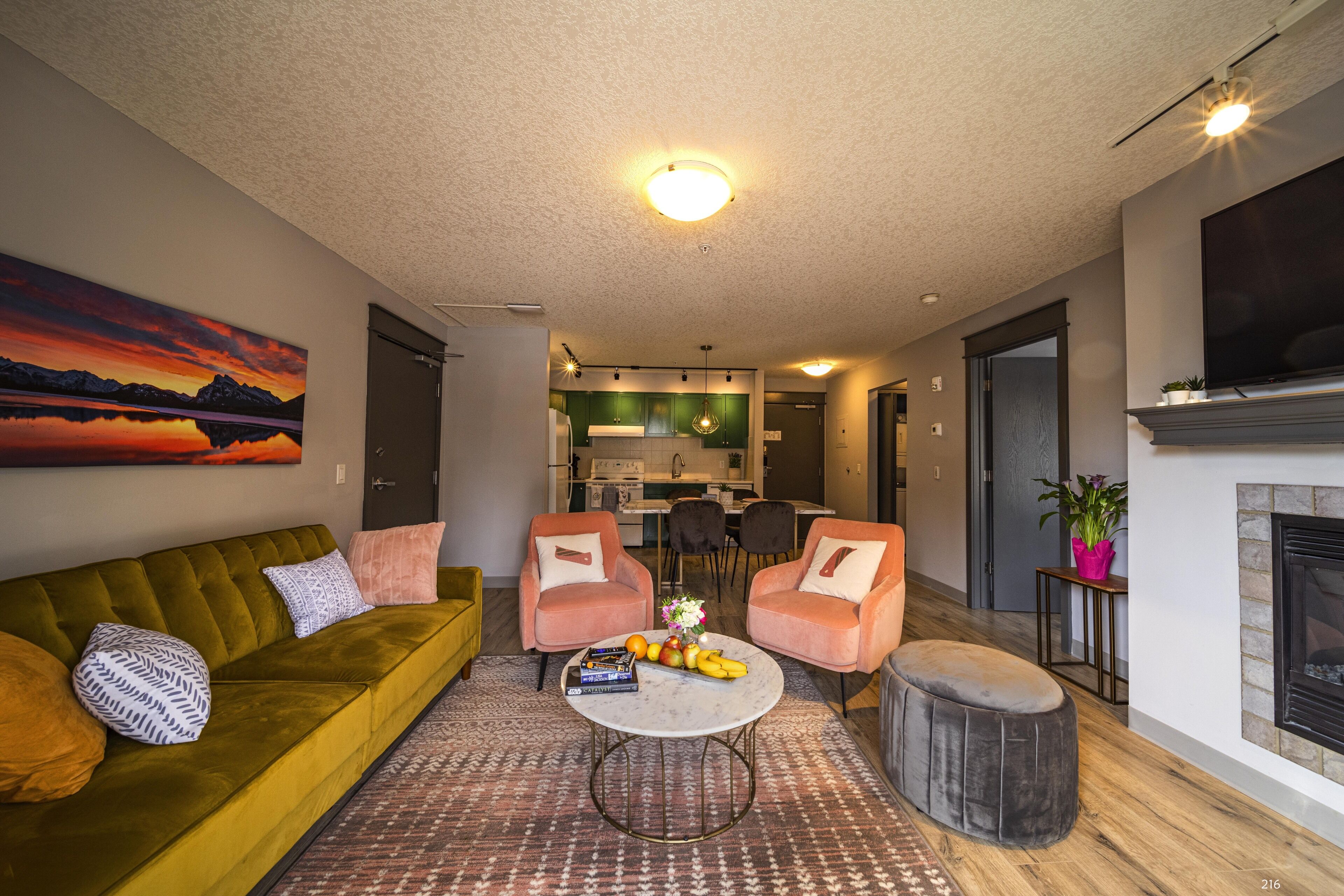 TV, fireplace, books