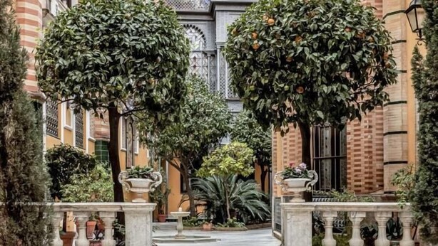 A courtyard with a central pathway flanked by trees and potted plants, leading to a building with a tiled floor and a stone balustrade. - Dreams of the Cathedral * Oasis in Santa Cruz * (Sevilla)