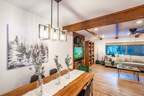 TV, fireplace, video game console, books